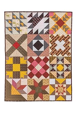 Divided Hearts, A Civil War Friendship Quilt: Historical Narratives, 12 Blocks, Instruction & Inspirations by Barbara Brackman