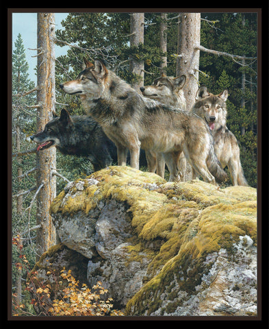 Alpha Panel of Wolves by Carl Brenders - 35" Wide # 9803 Black