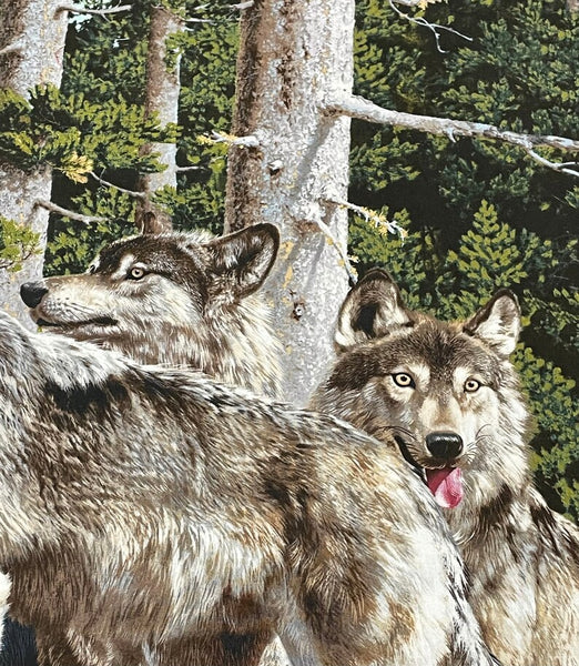 Alpha Panel of Wolves by Carl Brenders - 35" Wide # 9803 Black