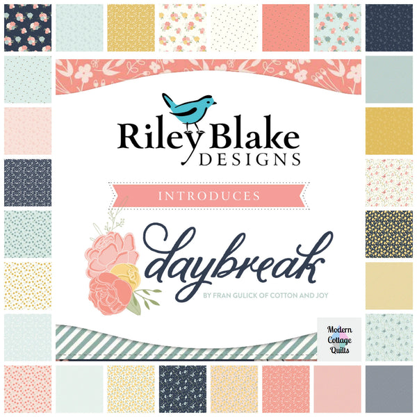 Daybreak 40 x 2 1/2" Strips by Fran Gulick for Riley Blake Designs