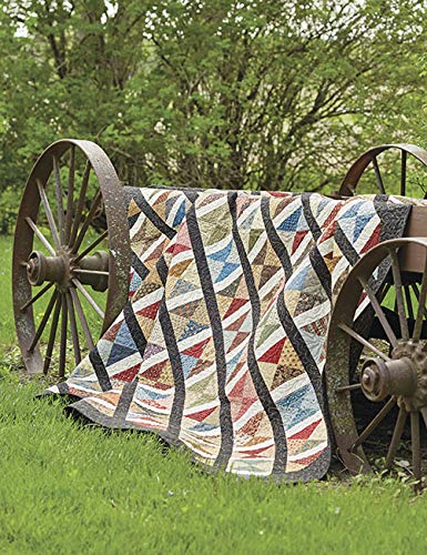 Step Back in Time: Turn Reproduction Prints Into Vintage-Inspired Quilts by Paula Barnes & Mary Ellen Robison