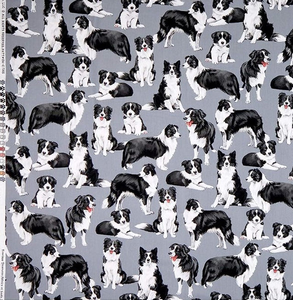 Border Collies on Grey Background - GM-C7365 - Half Metre Lengths