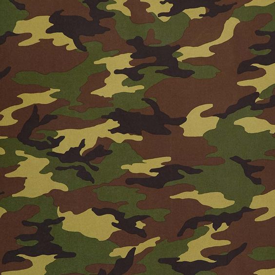 Windham The Great Outdoors Camouflage print by Whistler Studios 108" wide x 2.4 metre length - 51463