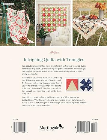 You've Got a Point!: Stunning Quilts with Triangle-In-A-Square Blocks by Anna Dineen