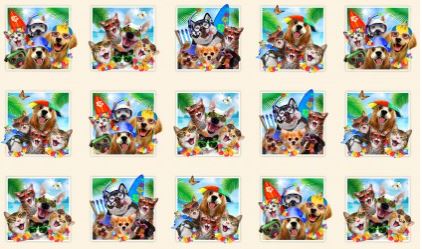 Cats and Dogs Beach Selfies 23" Panel