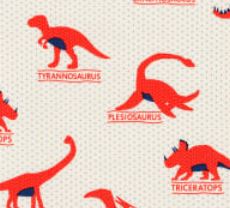 Prehistoric Pals Named Dinosaurs Red - Half Metre Lengths