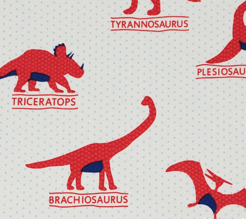 Prehistoric Pals Named Dinosaurs Red - Half Metre Lengths
